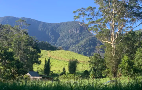 Springbrook view